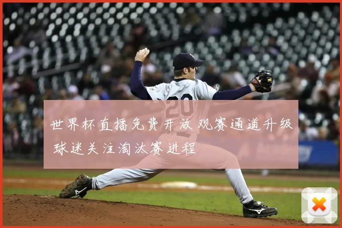 世界杯直播免费开放 观赛通道升级 球迷关注淘汰赛进程