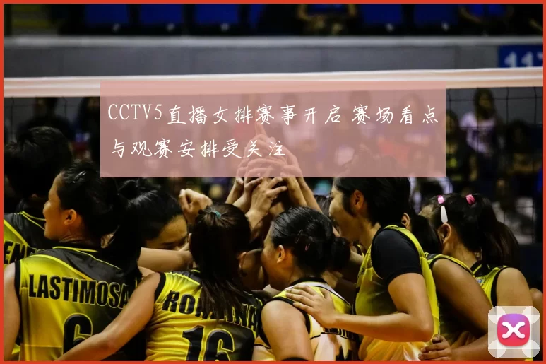 CCTV5直播女排赛事开启 赛场看点与观赛安排受关注