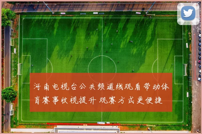 河南电视台公共频道线观看带动体育赛事收视提升 观赛方式更便捷